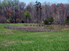 Stone Cliff Acres offers stocked ponds